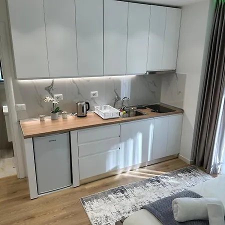 Luxury Center Apartment